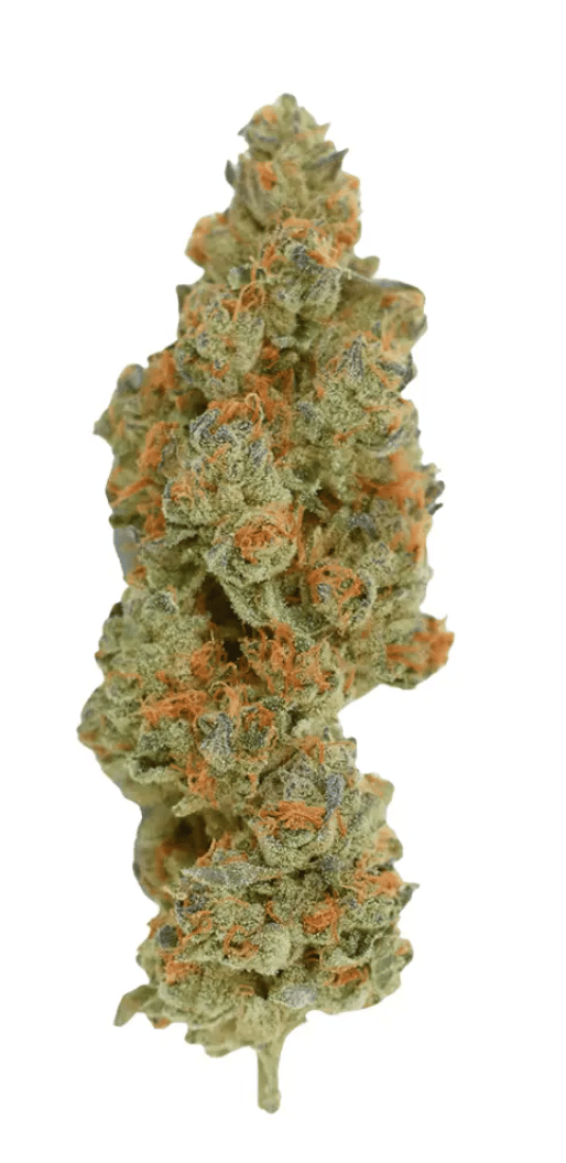 Demecan Craft Rocket 31:01